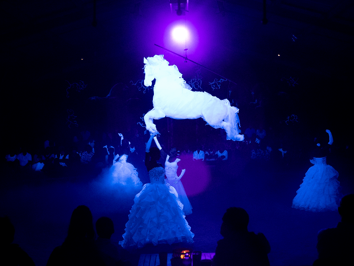 Spectacle équestre Camarkas